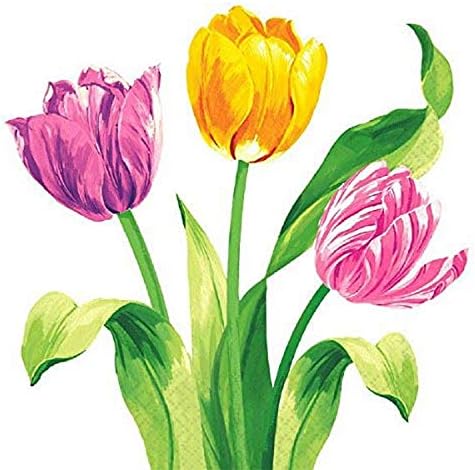 Amscan Fényes Tulipánt Ebéd Szalvéták, 16 Ct. | Fél Evőeszközök