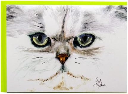 Szivárvány Kártya Cég Maró Macskák Üdvözlőlap - Sebago